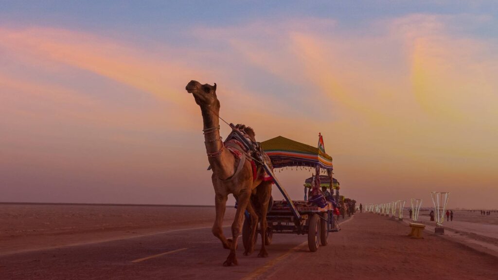 Camel pulling a decorated cart with people on a desert road at sunset. The sky is colorful with pink and orange hues.